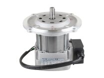 Motor Riello RH S 110 20043440