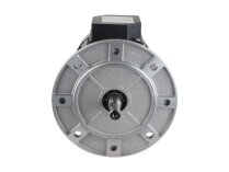 Riello electric motor, 3003966