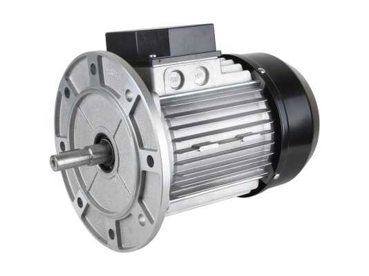 Motor eléctrico Riello, 3003966