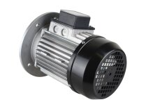 Motor eléctrico Riello, 3003966