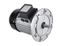 Motor eléctrico Riello, 3003966