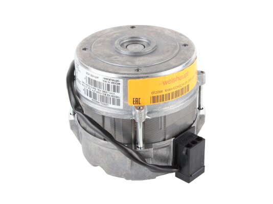 Motor eléctrico HIDRIA 75W art. 652098-WE