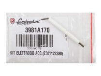 Electrodo de encendido Lamborghini de 82 mm, 3981A170