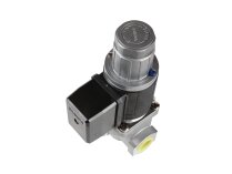 Brahma EG12*L*GMO 13922051 Gas Electromagnetic Valve