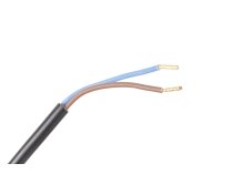 Sensor de llama Weishaupt RAR9, 1000 mm
