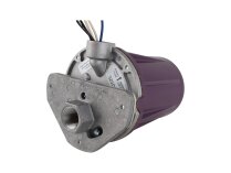 Sensor de llama Honeywell C7012E1104