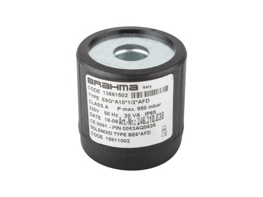 Electromagnetic coil Brahma BE6*AFD 18811002