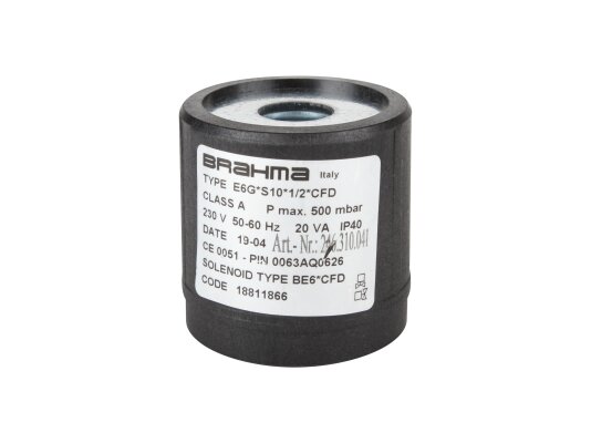 Electromagnetic coil Brahma BE6*CFD 18811866