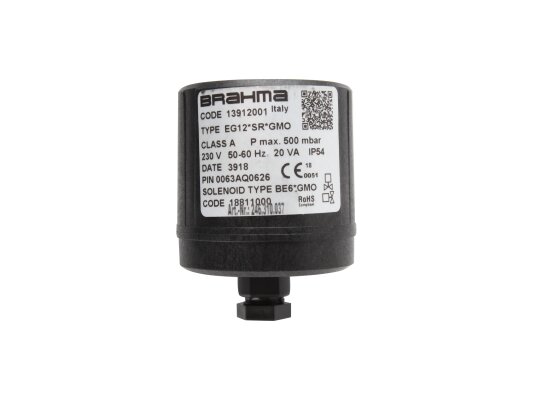 Electromagnetic coil Brahma BE6*GMO 18811000