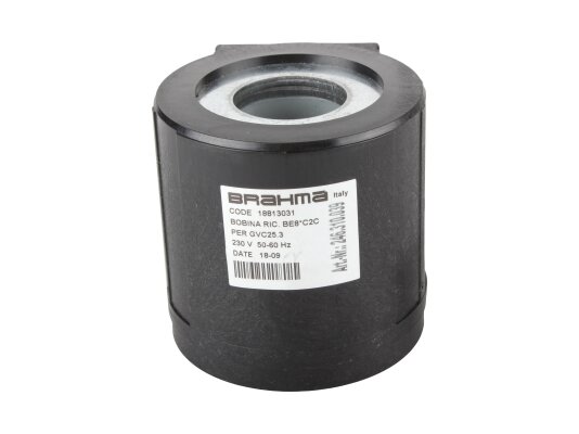 Electromagnetic coil Brahma BE8*C2C 18813031