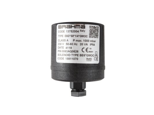 Electromagnetic coil Brahma BE6*GMOC 18811070