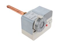 Honeywell L6191 B2013 Dual Thermostat