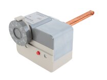 Honeywell L6191 B2013 Dual Thermostat