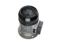 Simel 10A/80R-1100-2T IE3 electric motor