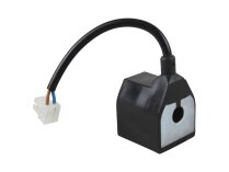 Riello R.B.L. 113 Solenoid Coil