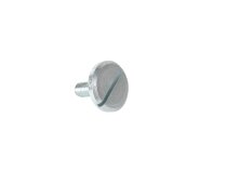 Tornillo de fijación de la carcasa del quemador Ecoflam M5 x 15 mm, art: 65300519.