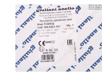 Giuliani Anello FGDR32 gas pressure regulator