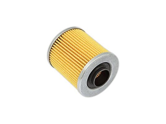 Elemento filtrante Giuliani Anello 60200/0015P, art: 014.4070.001