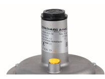 Gas pressure regulator Giuliani Anello FGD25