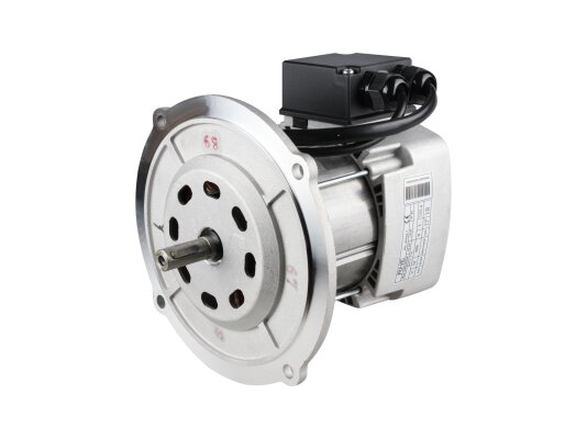 Riello RH Y 110 motor, 420W, art: 3013425.