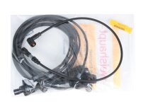 Weishaupt Ignition Electrode Cable 800mm, 21710411092
