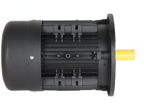 Motor eléctrico Hoyer 7,28/8,73 kW