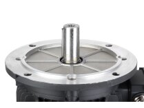 Motor eléctrico Hoyer 7,28/8,73 kW