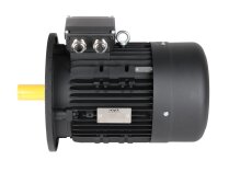 Motor eléctrico HANNING 7,5/8,7 kW, art. 36961318
