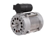 Motor eléctrico Simel ZD 1-4/2196-32
