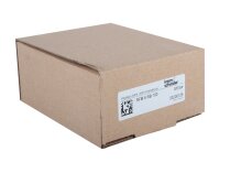 Manómetro Kromschroder RFM 6RB100, 6 bar