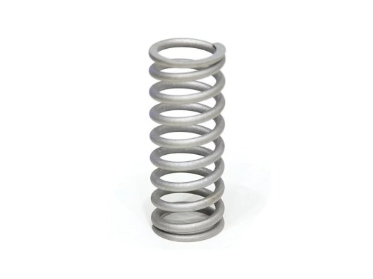 Kromschroder 75441810 Spring