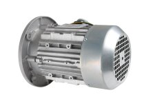CIB Unigas electric motor, 218100701