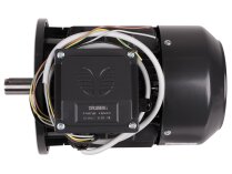 CIB Unigas electric motor, 218100701