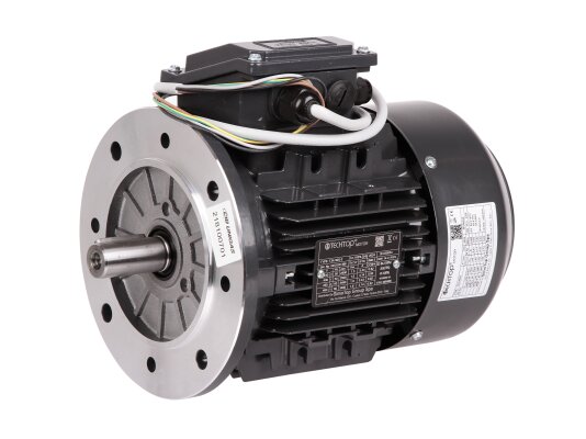 Motor eléctrico CIB Unigas, 218100701