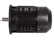 Motor eléctrico CIB Unigas, 218100701
