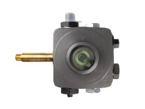 Riello R.B.L. 20030285 B10 burner pump