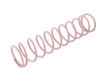 Dungs regulator spring 229872