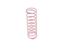 Dungs regulator spring 229825