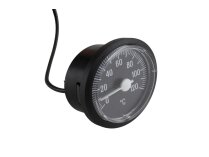 Riello 4R103822 Thermometer