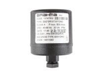 Electromagnetic coil Brahma BE6*GMO 18811082