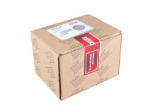 Riello S4965V 3208 Burner Controller
