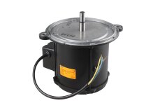 Elco D130C56/2 electric motor