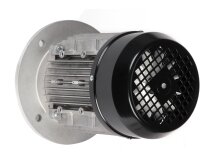Riello electric motor, 3014206R