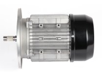 Riello electric motor, 3014206R