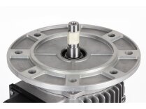 Riello electric motor, 3014206R