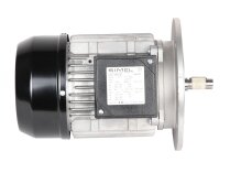 Motor eléctrico Riello 1-10A/6 IE3 3014206R