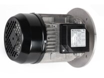 Motor eléctrico Riello, 3014206R