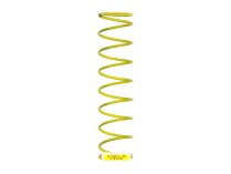 Weishaupt DN 50 / Rp 2" Spring, 490131