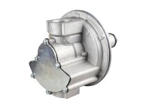 Gas pressure regulator Giuliani Anello FS1B32