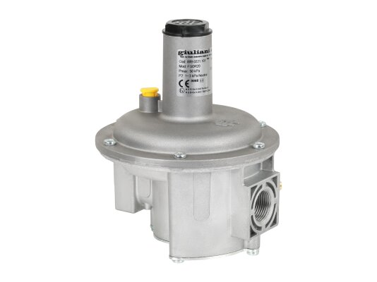 Elco FGDR20 gas pressure regulator, art: 3142520